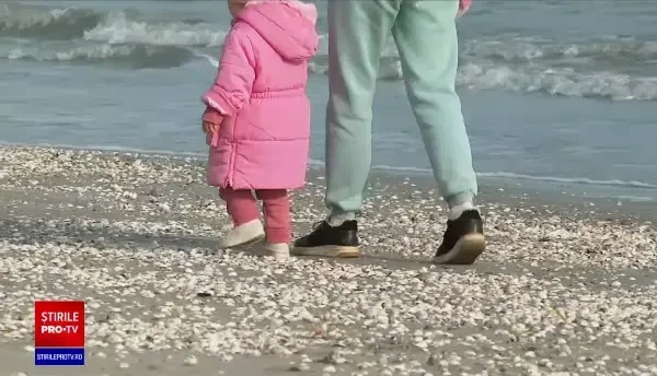 Orașul din România în care există cea mai mare comunitate de refugiați ucraineni. „Ne simțim ca acasă, avem mulți prieteni”