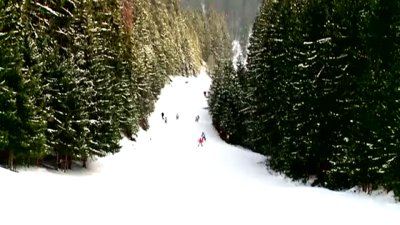 Topul celor mai mari și mai frumoase pârtii de schi din România pentru iubitorii de sporturi de iarnă