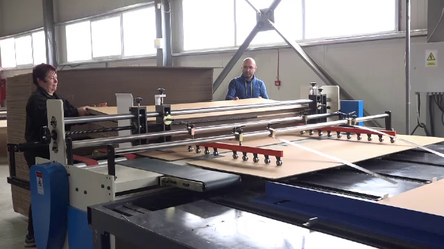 Comuna din România care atrage tot mai multe firme. Afacerile care s-au mutat aici s-au dezvoltat rapid