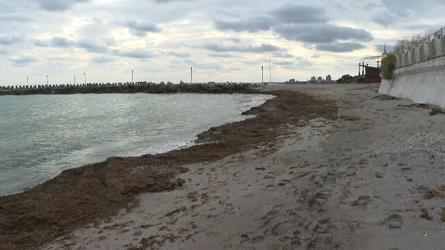 Litoralul românesc va avea noi plaje, de anul viitor. Care sunt stațiunile în care vor începe construcțiile