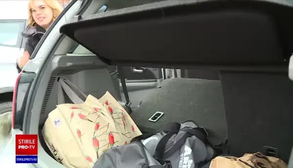 A început „Operațiunea Bradul”. Cum păstrăm pomul de Crăciun cât mai mult timp verde