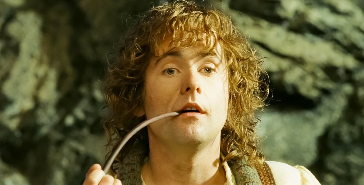 stapanul inelelor - 6