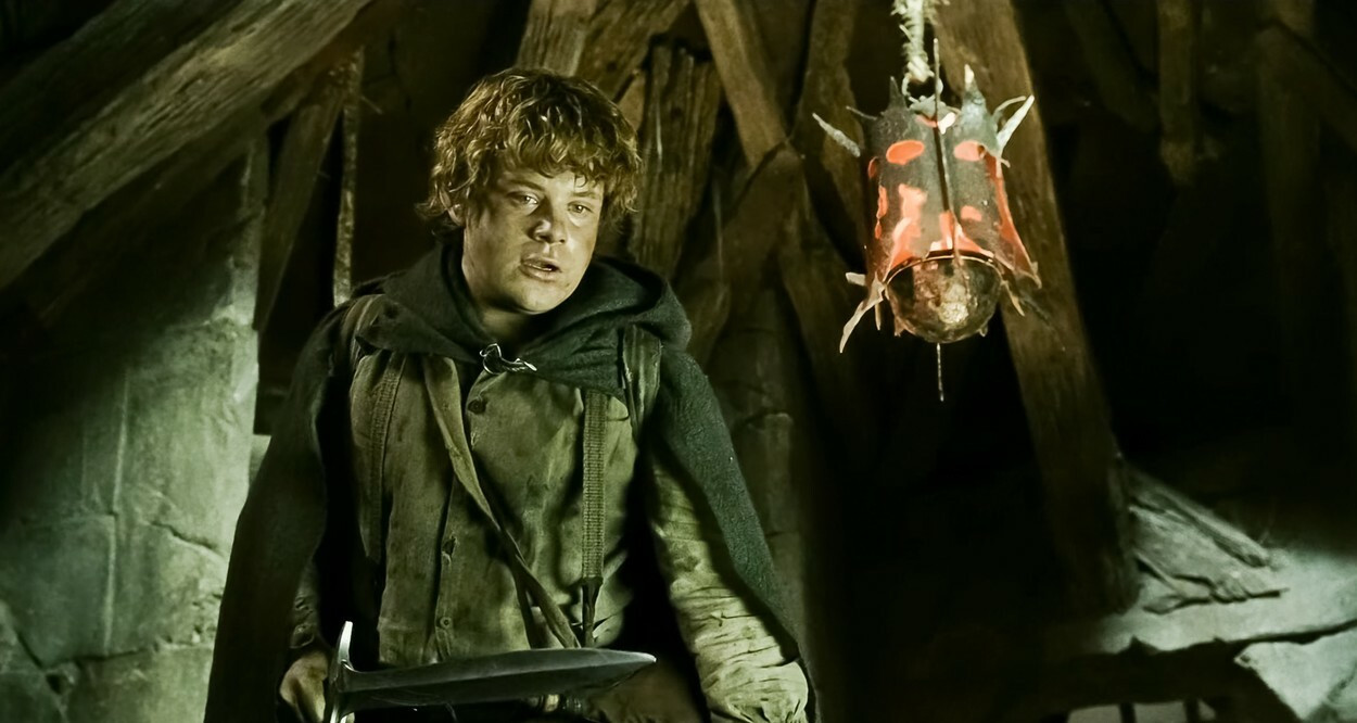 stapanul inelelor - 15