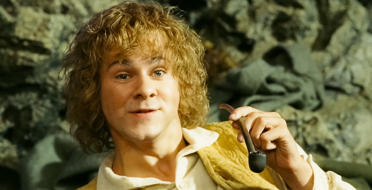 stapanul inelelor - 20