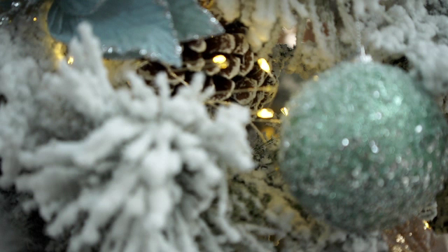 Cei care vor un brad gata împodobit de Crăciun au la dispoziție mai multe opțiuni. Cât ajunge să coste un astfel de serviciu