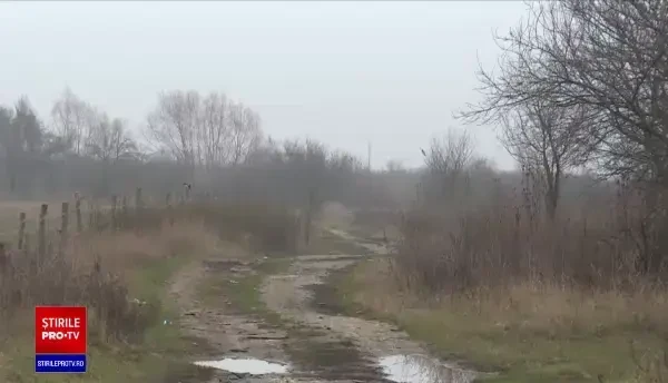 Un bărbat a plecat, împreună cu nora lui, să adune lemne în pădure, dar nu s-a mai întors în viață