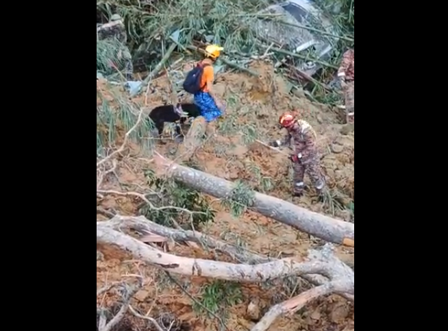 Dezastru natural în Malaezia: Cel puţin 21 de persoane, între care cinci copii, au murit într-o alunecare de teren