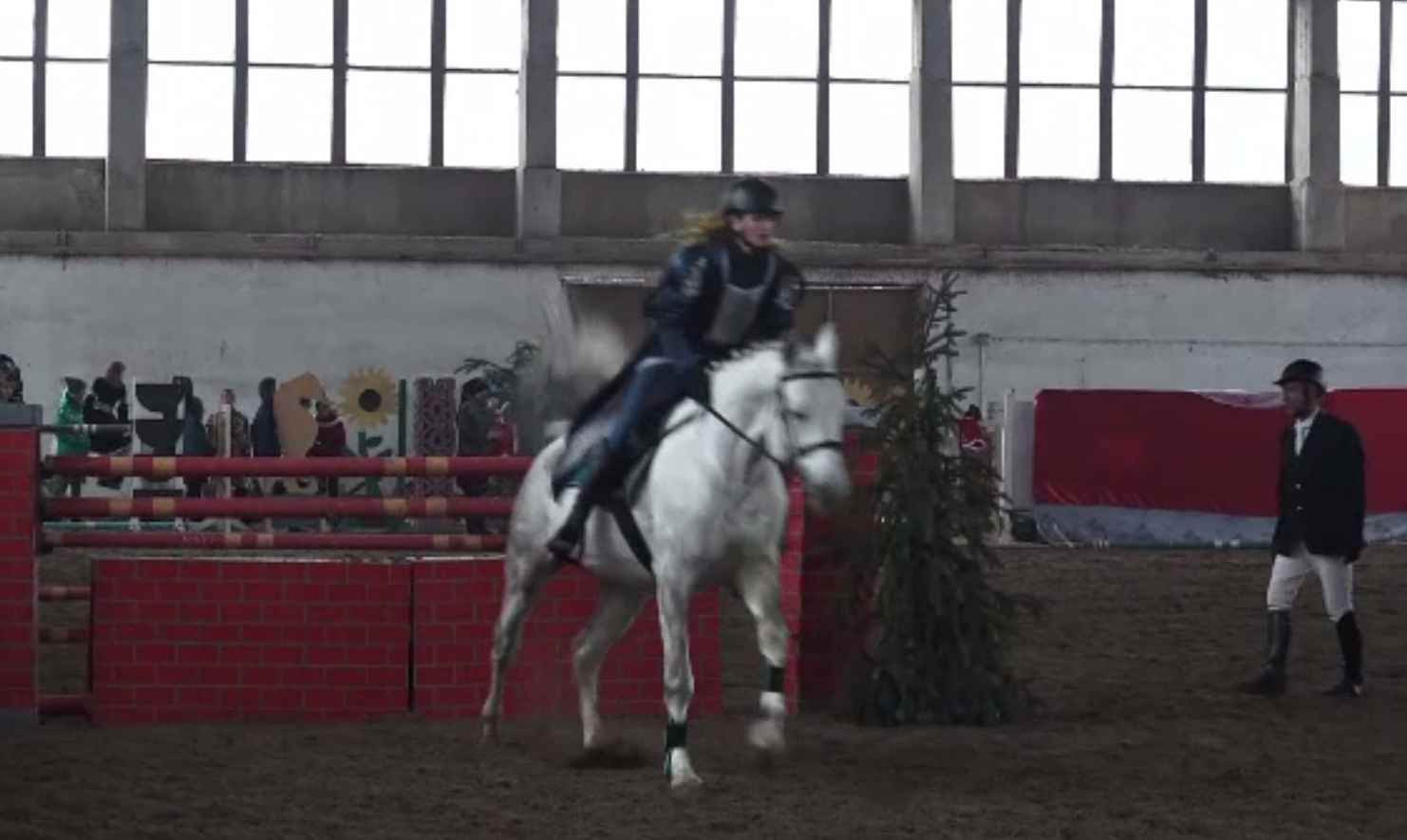 „Frumoasa din pădurea...Romsilva”. Caii au făcut spectacol la herghelia din Târgu Mureș