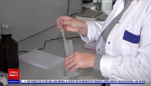 Cercetarea în agricultură dă roade la export. Soiurile de plante îmbunătățite se vând în vestul Europei