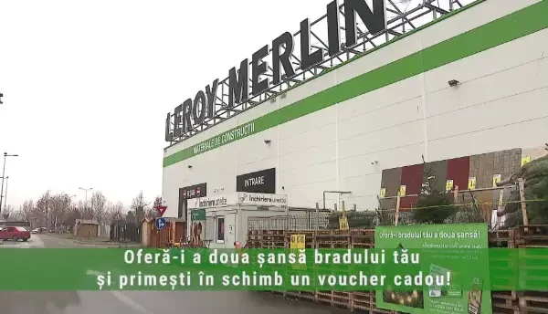 (P) Cumpără cel mai frumos brad de la Leroy Merlin, la doar 32,99 lei, și du-l înapoi după Sărbători