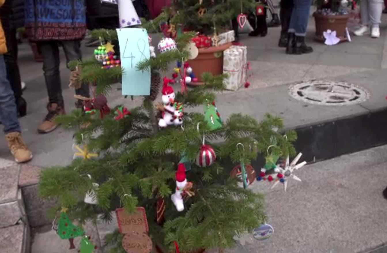 Festival al brazilor primiți în dar. Elevii din Ploiești au împodobit brăduții pe care îi vor planta în curtea școlii