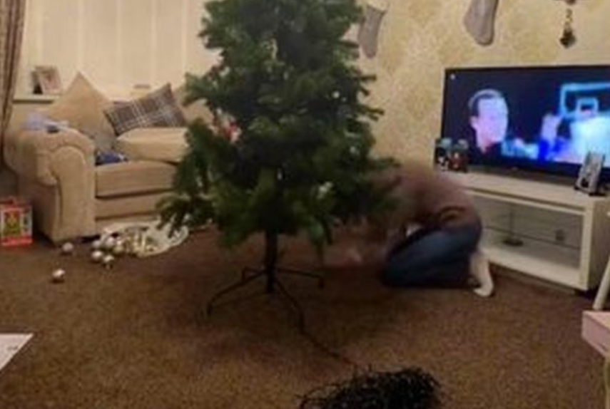 Motivul neașteptat pentru care o mamă despodobește bradul pe 25 decembrie, la 7 seara, în fiecare an