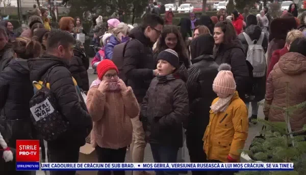 Festival al brazilor primiți în dar. Elevii din Ploiești au împodobit brăduții pe care îi vor planta în curtea școlii