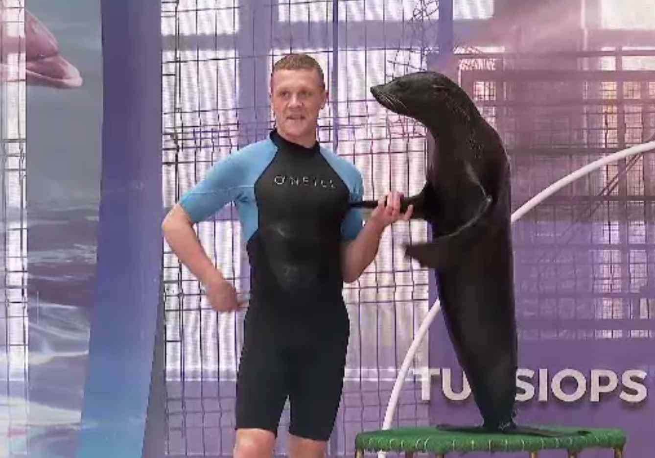 Animalele din microrezervația Constanța au fost pregătite pentru iarnă. Cum sunt hrănite