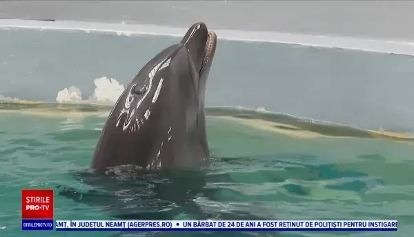 Animalele din microrezervația Constanța au fost pregătite pentru iarnă. Cum sunt hrănite