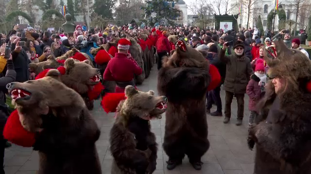 Ursarii au invadat centrul Iașiului. 70 de "urși" vor colinda prin toate marile orașe din Moldova până la Crăciun