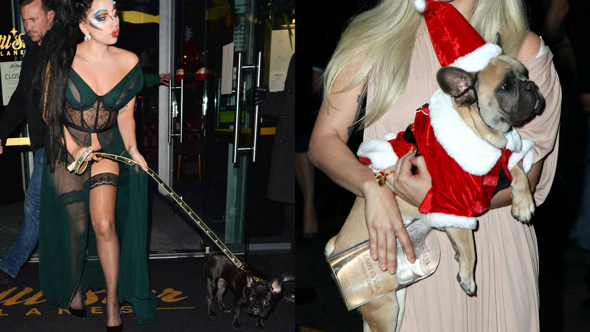 O femeie a fost condamnată la închisoare cu suspendare pentru posesie de bunuri furate în cazul câinilor lui Lady Gaga