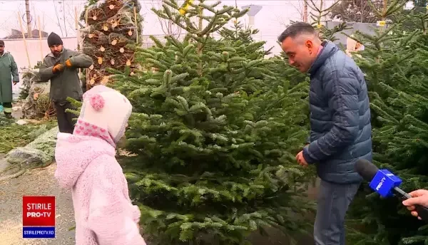 Comerciant de brazi: ”Anul acesta a mers foarte bine, prețurile nu au scăzut deloc”