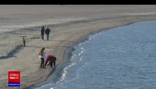 Temperaturi de primăvară în decembrie. Care este prognoza pentru final de an