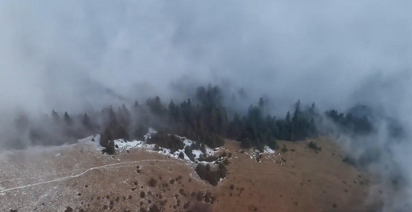 Șase ucraineni au vrut să ajungă în România printr-o zonă extrem de dificilă din Munţii Maramureşului, dar s-au rătăcit