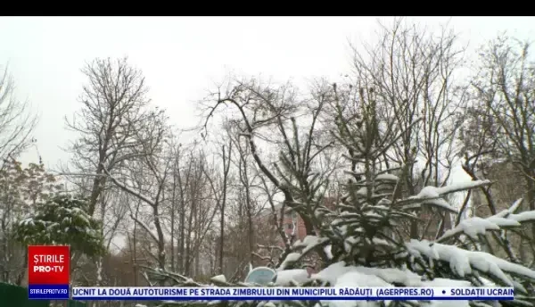 Horoscop 27 decembrie 2022, cu Neti Sandu. Zodia care poate începe o viaţă nouă, să schimbe serviciul