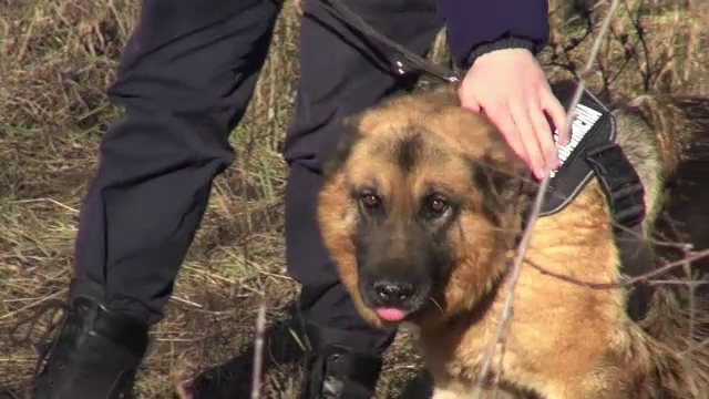 Ogepa, scos la la pensie după 11 ani în Jandarmerie, şi-a cunoscut noii stăpâni - doi soţi din Târgu Neamţ