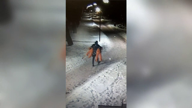 Hoț de urși de pluș, căutat de poliție. Câți a furat până acum