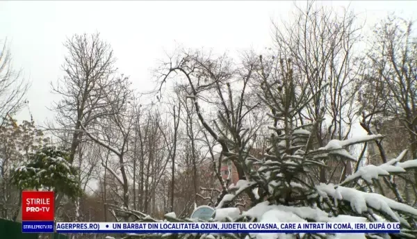 Horoscop 30 decembrie 2022, cu Neti Sandu. Zodia care ar putea face un anunţ de logodnă, căsătorie