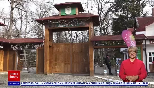 Noi animale la grădina zoologică din Târgu Mureș. În total au fost aduse zece specii de animale din Ungaria