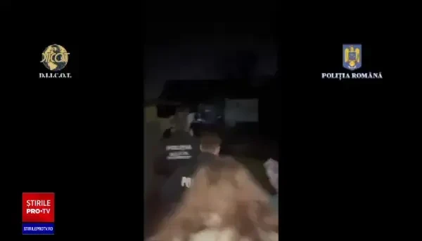 Polițiștii au găsit în casa lui Andrew Tate o gorilă făcută din dolari