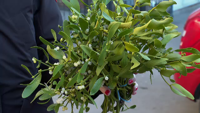 Ce superstiții au românii de Anul Nou. ”Cred foarte mult în asta”