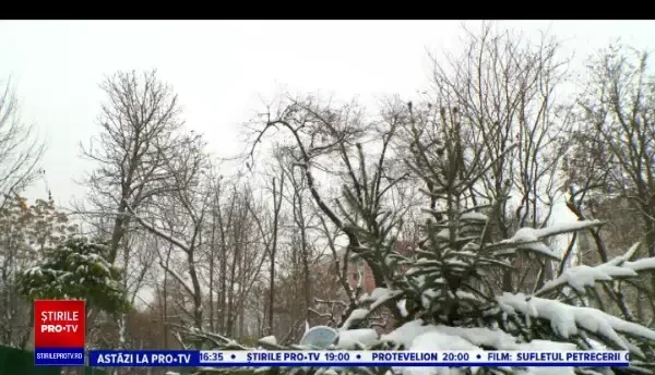 Horoscop 31 decembrie 2022, cu Neti Sandu. Cum vom petrece Revelionul