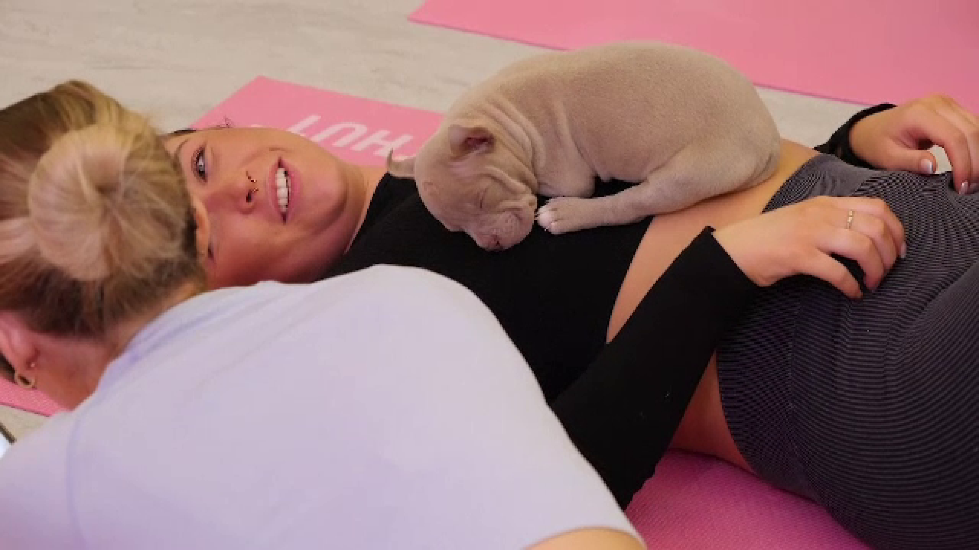 Ce este conceptul de puppy-yoga și cât costă
