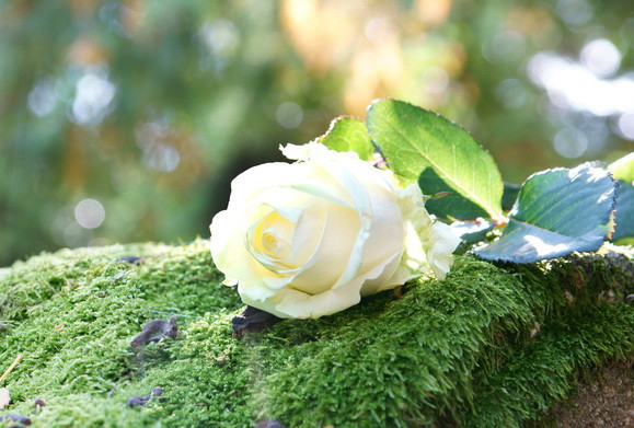 Un polițist din Bârlad va fi îngropat în aceeași zi cu mama sa. Au murit la o zi distanță