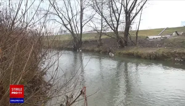 Femeia de 30 de ani care s-a aruncat în râu, în Alba, a născut în urmă cu două luni. Ar fi avut o depresie