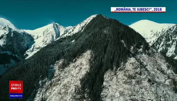 Pedeapsa în cazul furtului unei păduri din Munții Făgăraș. După 12 ani, făptașii au fost trimiși după gratii