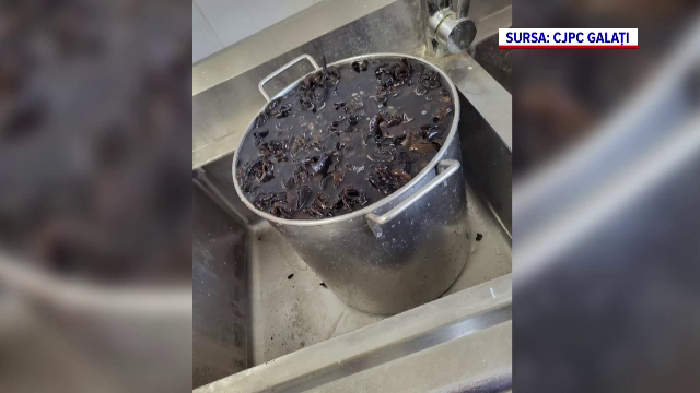 Mizerie și mâncare stricată într-un restaurant chinezesc din Galați. Nereguli găsite de Protecția Consumatorului