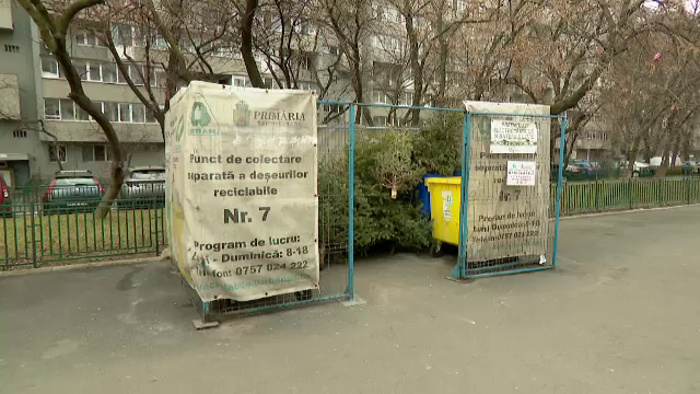 Brazii de Crăciun, colectați gratuit de firmele de salubritate. Marile magazine oferă vouchere în schimbul lor