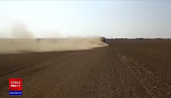Specialiștii în agricultură încep deja să vorbească despre secetă. Prognoza pe următoarea lună indică precipitații slabe