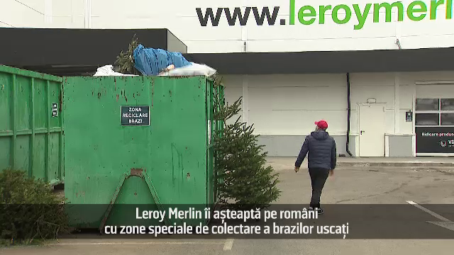 (P) Leroy Merlin îi aștaptă pe români cu zone speciale de colectarea brazilor uscați