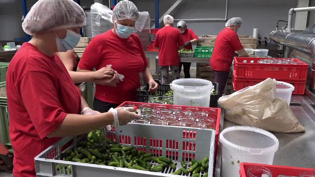 Statul dă bani celor care vor să fabrice alimente. România are materie primă din belșug, dar nu și linii de procesare