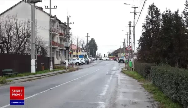 Focar de rabie într-o localitate din țară. O vulpe turbată, găsită moartă după ce s-a jucat cu un câine dintr-o gospodărie