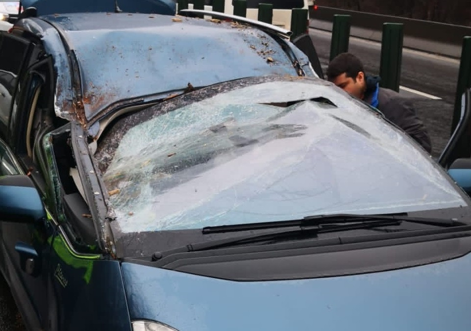 Un copac a căzut peste două mașini aflate în mers, pe Centura Capitalei: O femeie și un copil au ajuns la spital. VIDEO