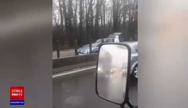 Un copac a căzut peste două mașini aflate în mers, pe Centura Capitalei: O femeie și un copil au ajuns la spital