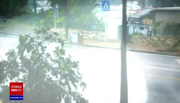 Vremea rea face ravagii în România. Porturile au fost închise în Constanța, iar un avion nu a putut să aterizeze la Suceava