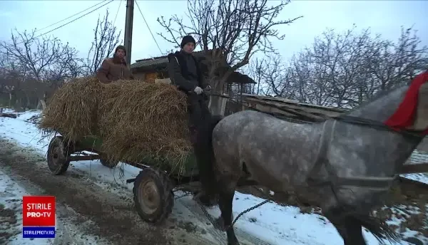 Probleme privind acordarea ajutoarelor pentru facturile la energie. Aproape 4 milioane de români ar trebui să beneficieze