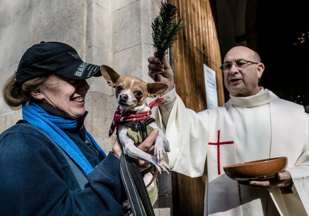 Imagini spectaculoase surprinse în Barcelona. Sute de animale de companie, sfințite într-o biserică din oraș