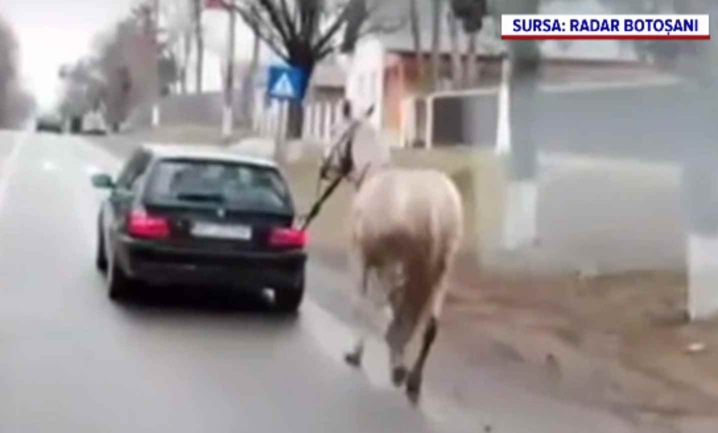 Șofer filmat cu un cal legat de mașină. De ce este căutat și cel care a filmat