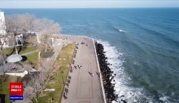 Marea Neagră a devenit „casă” pentru doradă, un pește întâlnit în Marea Mediterană