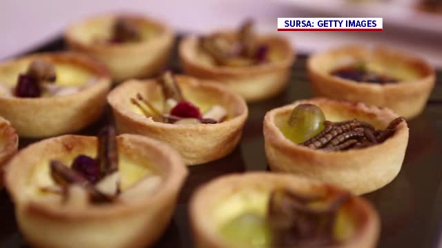 Larva gândacului de bălegar, a patra insectă devenită aliment în UE. Ce persoane nu ar trebui să o consume